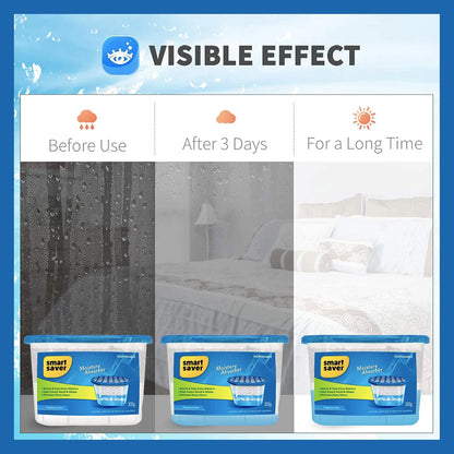 Disposable Moisture Absorber & Dehumidifier Box for Damp, Mould & Odour Control – 300g