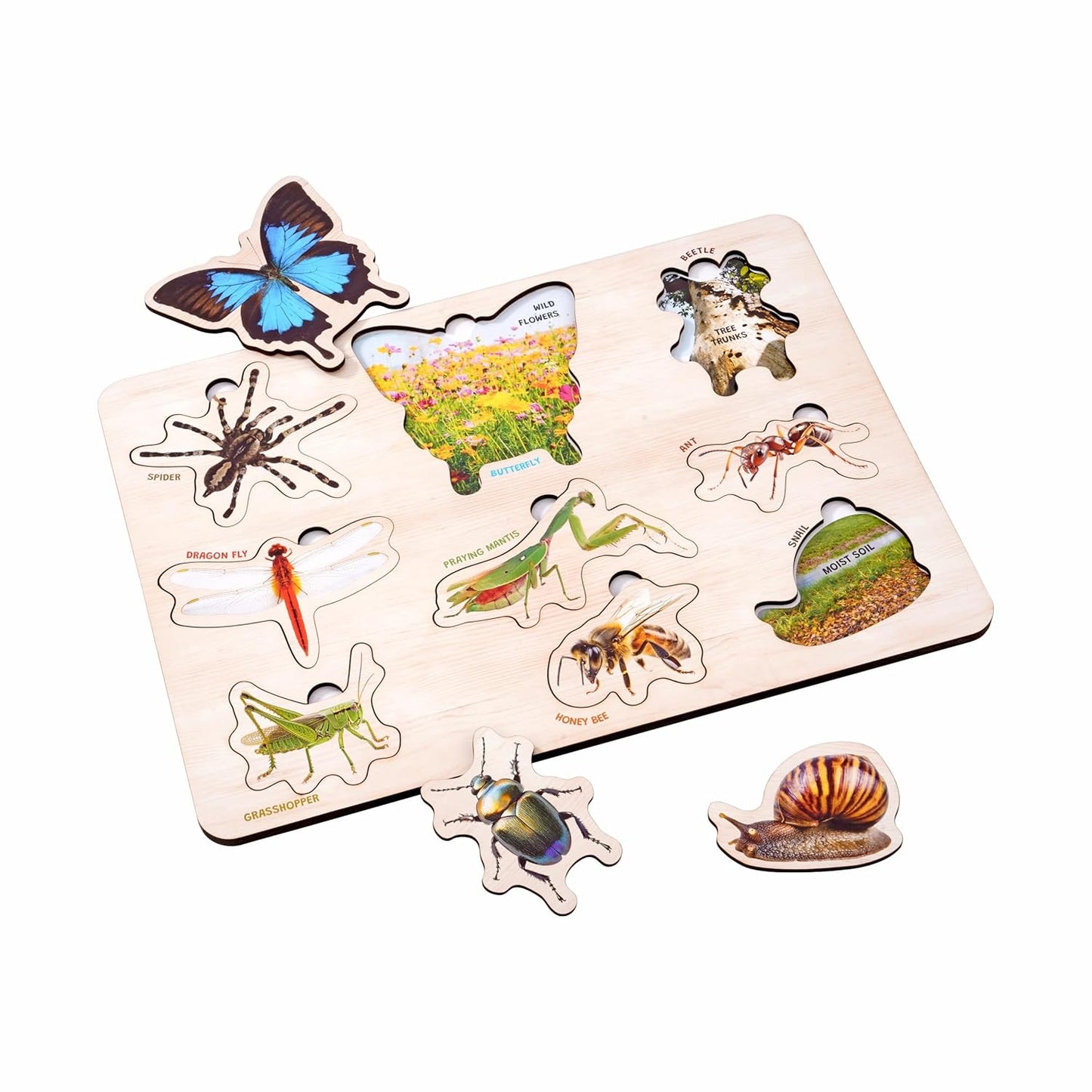Educational Wooden Puzzle Tray for Toddlers
