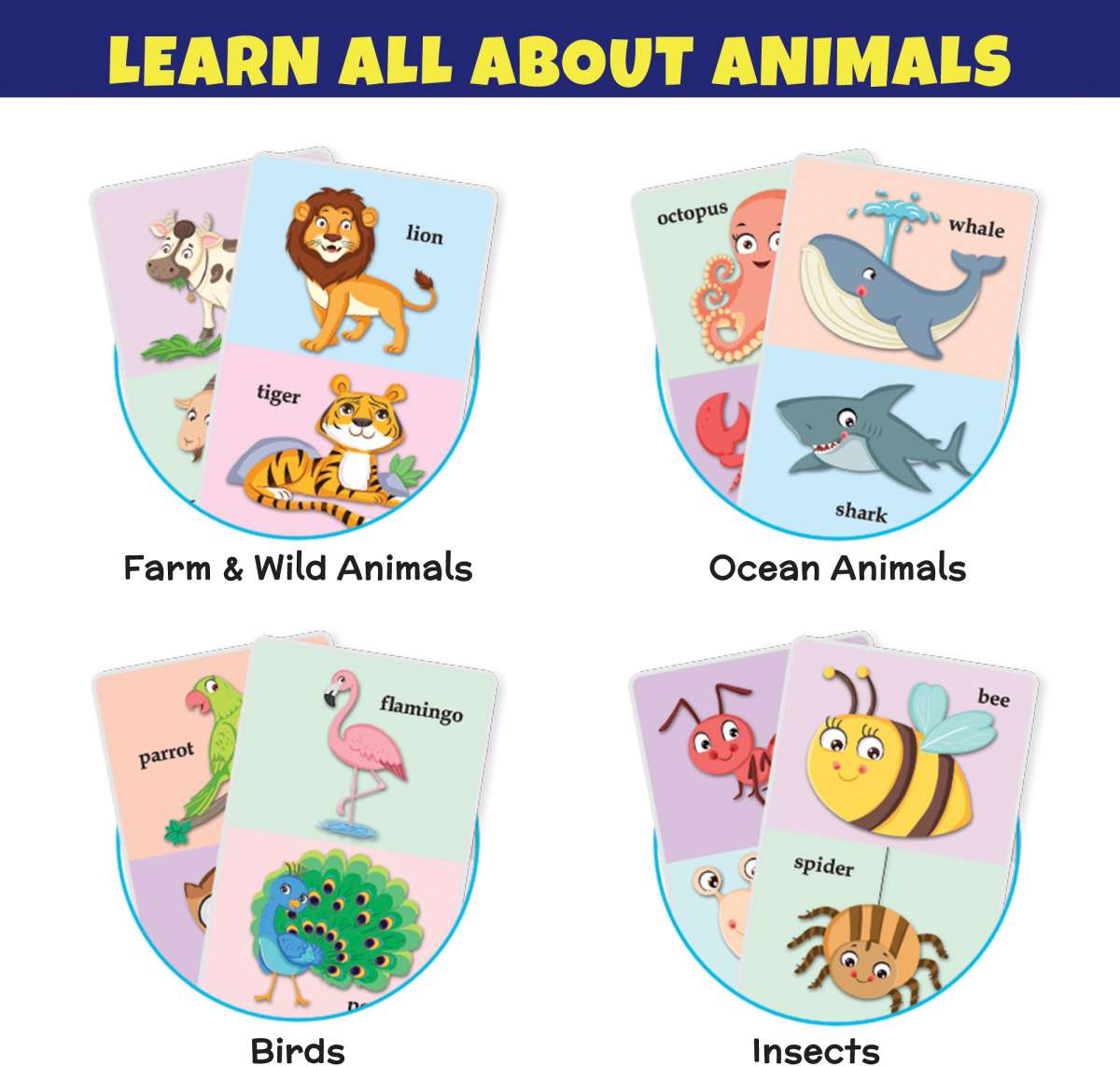 Animal jumbo flash cards for kids (32 DOUBLE SIDED CARDS)