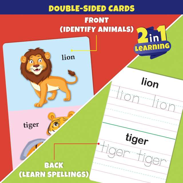 Animal jumbo flash cards for kids (32 DOUBLE SIDED CARDS)